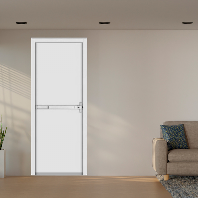 Cửa Thép Chống Cháy TCC. P1-1-C1