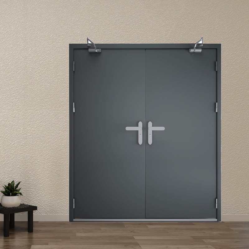 Cửa thép chống cháy TCC P2