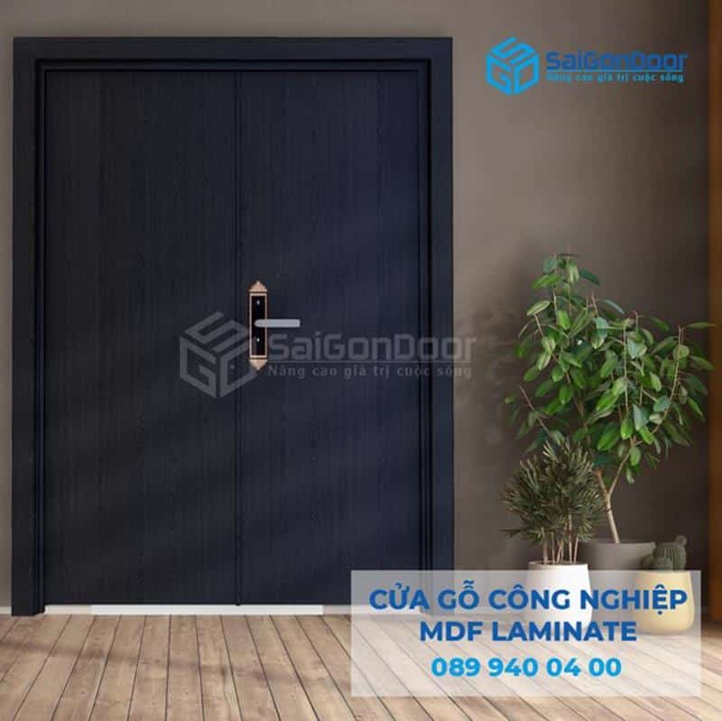 Cửa gỗ cao cấp 2 cánh mang phong cách hiện đại