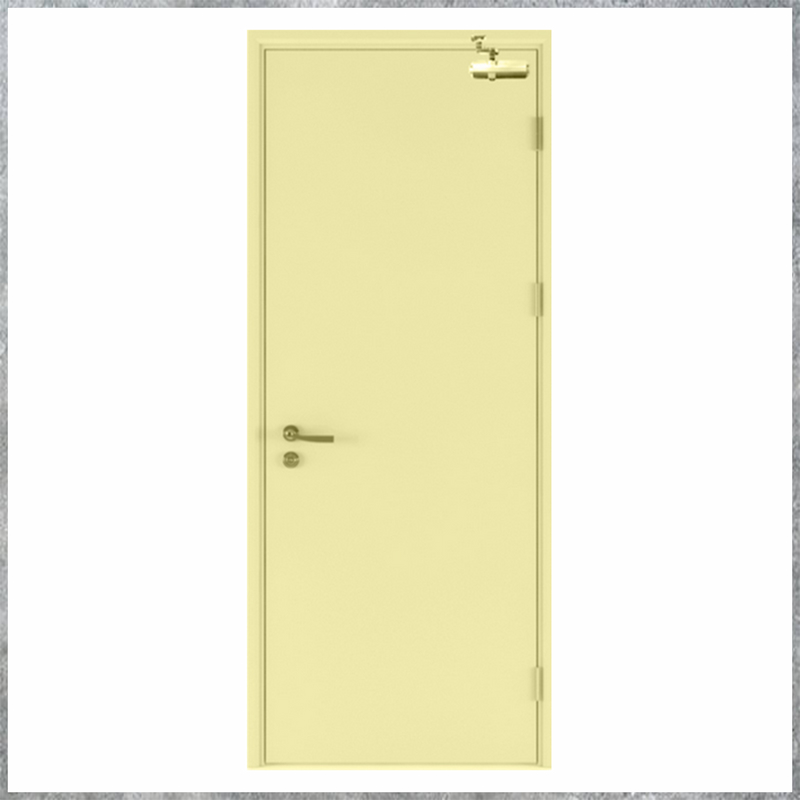 Cửa Thép Chống Cháy TCC. P1-C2