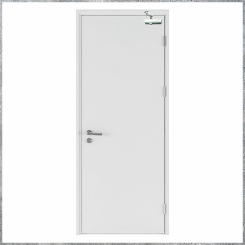 Cửa Thép Chống Cháy TCC. P1-C1