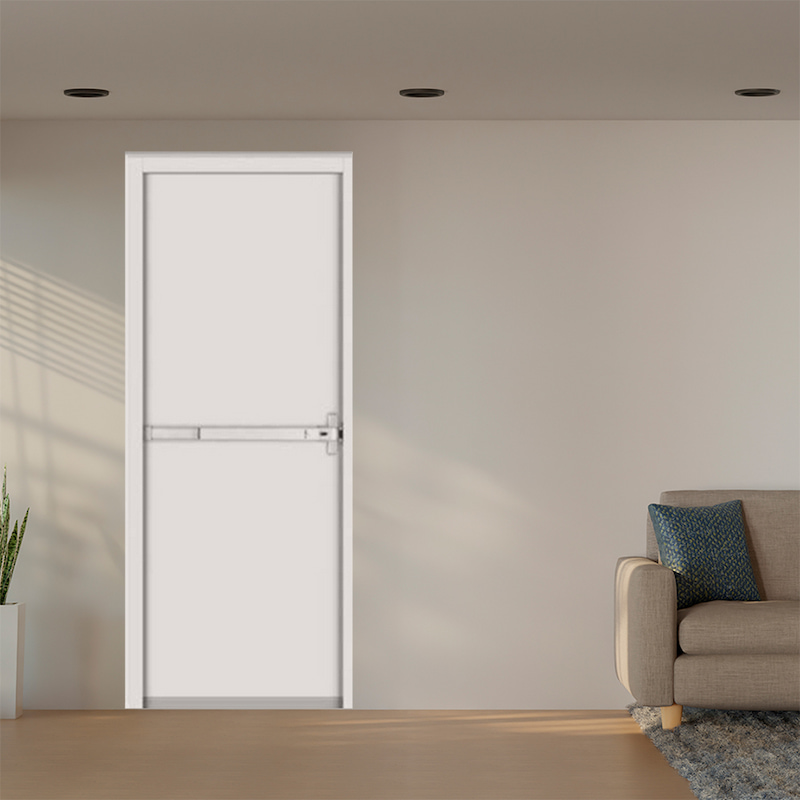 Cửa Thép Chống Cháy TCC. P1-1-C3