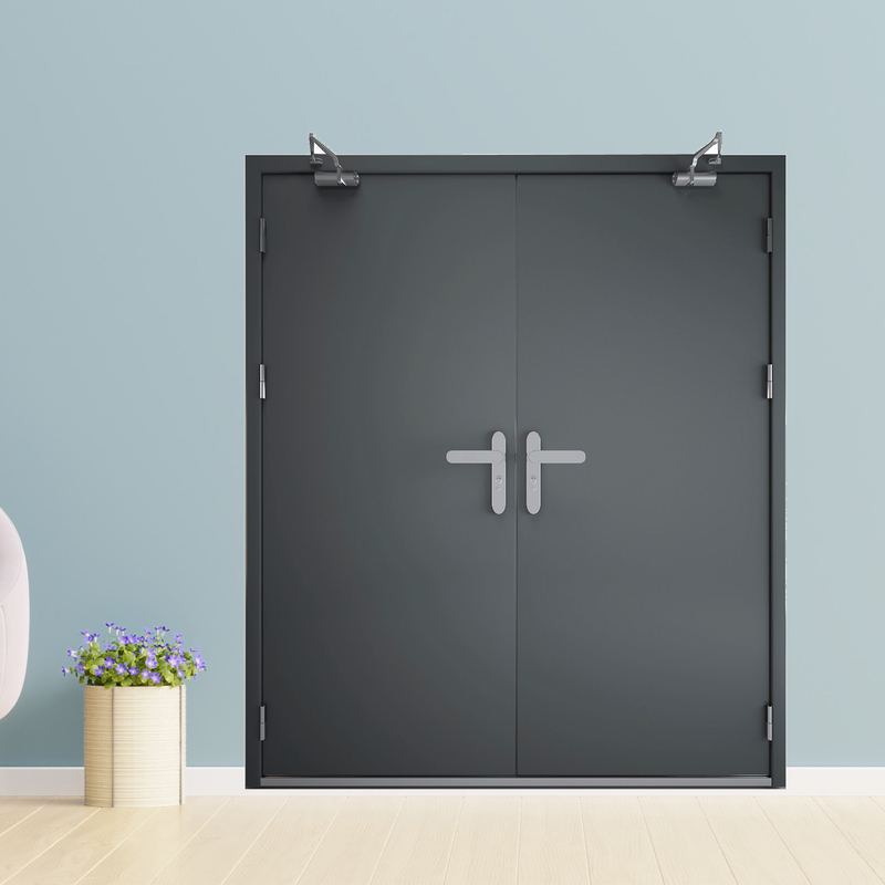 Cửa thép chống cháy TCC P2