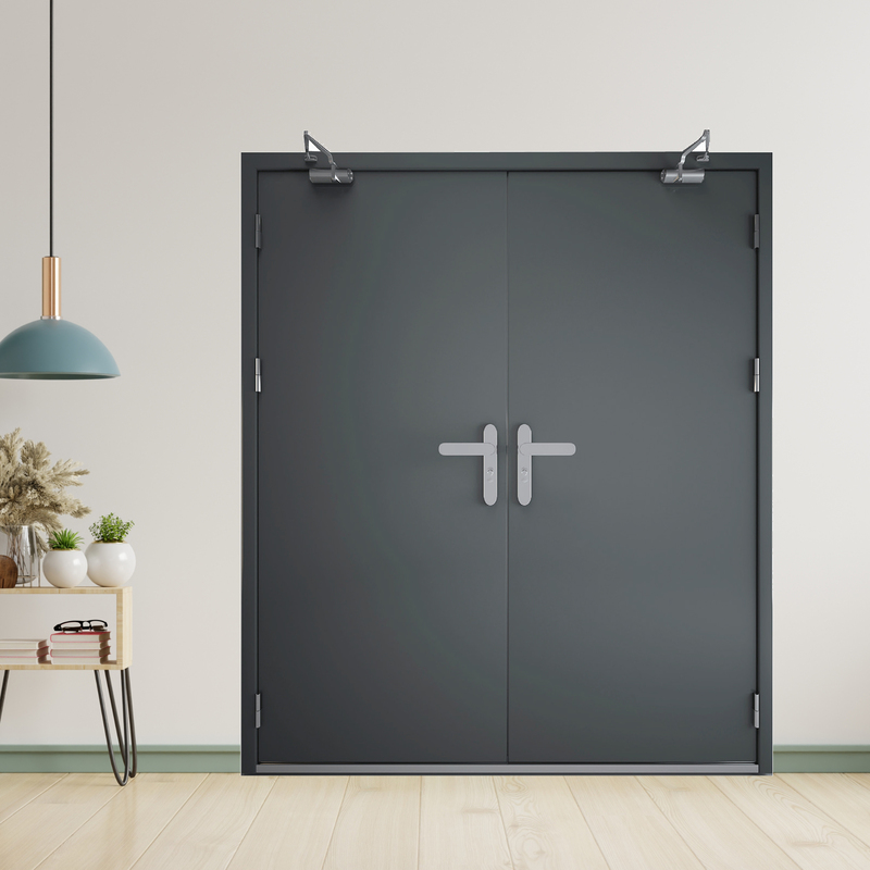 Cửa thép chống cháy TCC P2