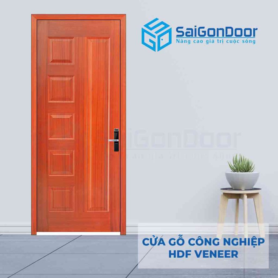 Cửa HDF Veneer phòng ngủ 6 panel mang kiểu dáng hiện đại vân gỗ Sapele