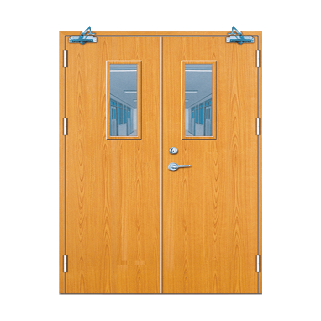 Cửa thép vân gỗ SGD 2