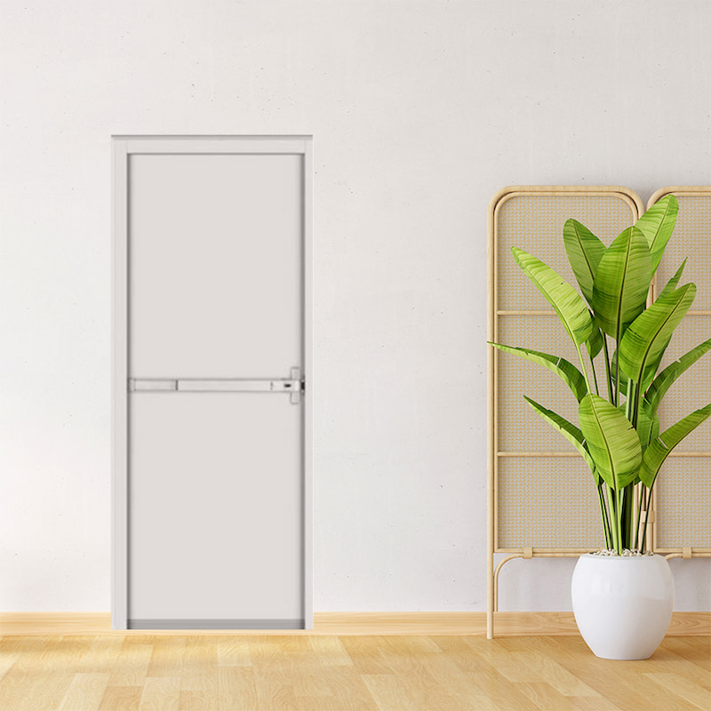 Cửa Thép Chống Cháy TCC. P1-1-C3