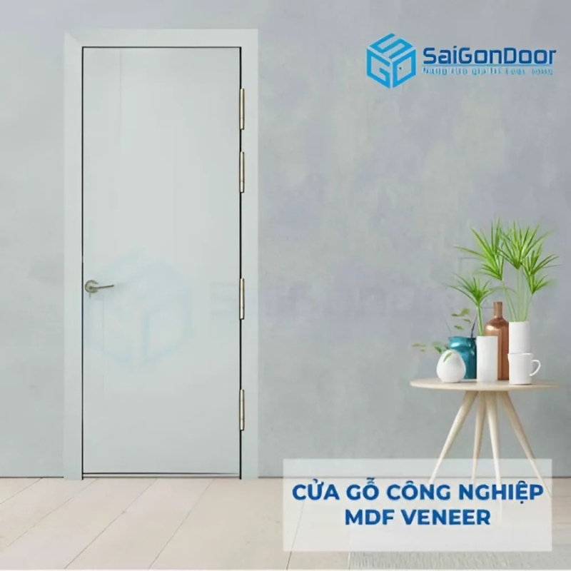 Mẫu cửa gỗ MDF phủ Veneer hot nhất