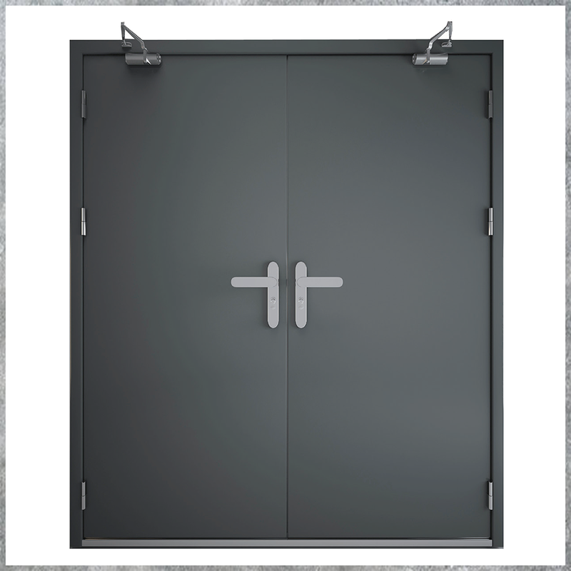 Cửa thép chống cháy TCC P2
