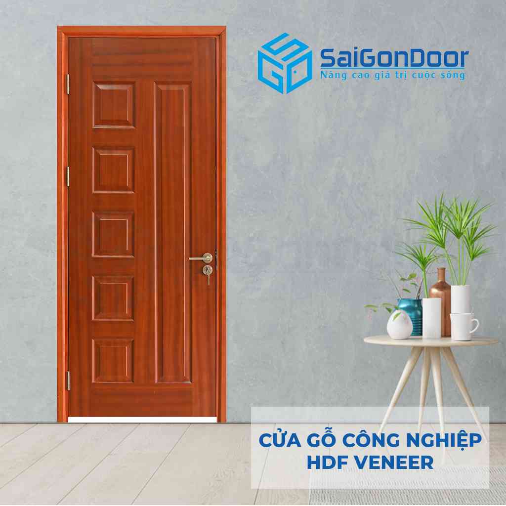 Cửa gỗ HDF Veneer 6B SGD